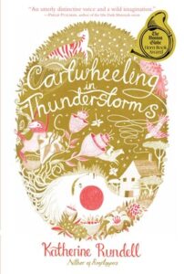 griffin cartwheeling in thunderstorms cvr | MiddleWeb